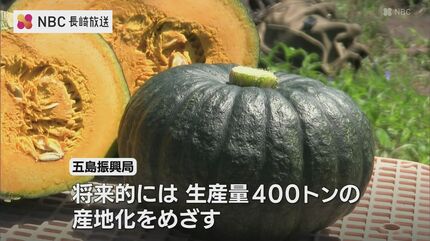 甘くてほくほく 栗のよう！ かぼちゃ「くり大将」収穫はじまる 農家の