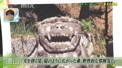 お値下げしました、時代狛犬根付