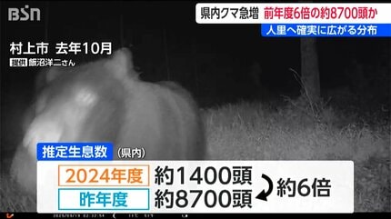 推定の6倍以上『ツキノワグマ』8700頭生息 出没も過去最多ペース【新潟