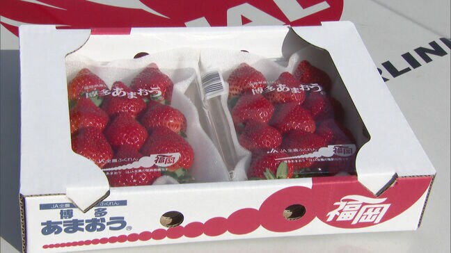博多あまおうの空輸始まる　翌日首都圏の店頭で販売　来年5月までに全国に出荷する予定|TBS NEWS DIG