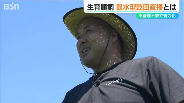 「この暑さでも生育は順調」コメ作りの“未来”をかけた挑戦『水を張らない田んぼ』新潟市|TBS NEWS DIG