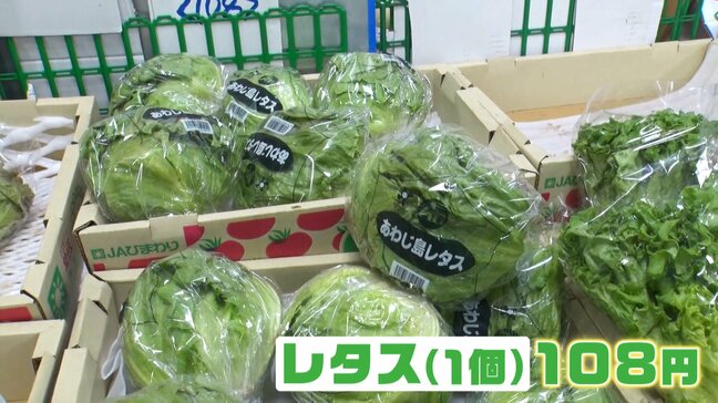 レタス1個108円！葉物野菜が安い！注目の小松菜は1袋86円…生産者直伝の絶品レシピ|TBS NEWS DIG