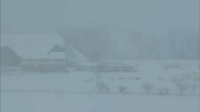 3日明け方にかけ岡山県北で大雪の予想　積雪や路面の凍結による交通障害に注意を|TBS NEWS DIG