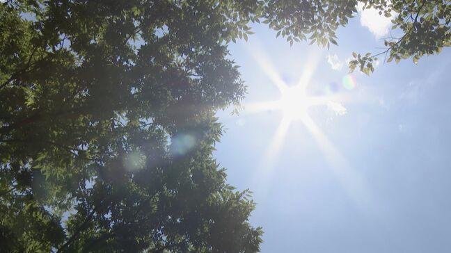 妻が買い物中に車内で待っていた70代男性も… 東海3県で熱中症の疑いによる救急搬送が相次ぐ |TBS NEWS DIG