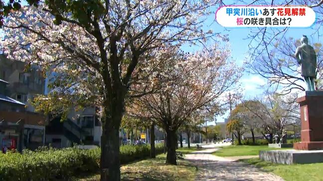 20度超のぽかぽか陽気に 甲突川沿いではあす27日から花見解禁|TBS NEWS DIG