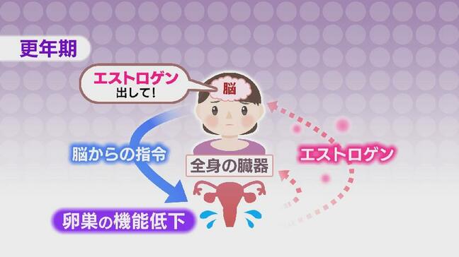 「まさか私が…」50代女性の3人に1人以上！誰にも言えない更年期障害のリアルと解決策…仕事や家事に支障きたす人も　受診のためらいに医師は？|TBS NEWS DIG