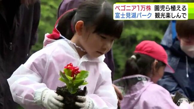 富士見湖パークに「ベゴニア」1万株 来園者のために園児など180人が植えつけ「きれいにそだって!」青森県鶴田町|TBS NEWS DIG