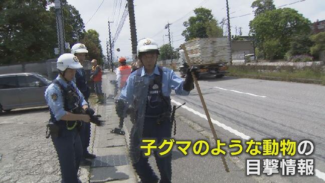 富山市郊外の住宅地でクマらしき動物…出没情報相次ぐ　国道8号付近で通勤中の富山市職員が通報　猟友会の現地調査では痕跡なし　富山市は厳重な注意を呼びかけ|TBS NEWS DIG