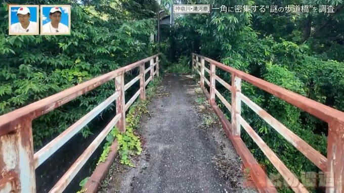 神奈川県の温泉地に潜む“謎の歩道橋” 一角に4本の歩道橋が密集するワケ【道との遭遇】|TBS NEWS DIG