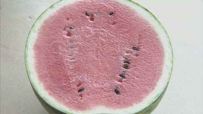 天候に恵まれ例年以上の仕上がり…GI登録「大栄西瓜」査定会　産品の魅力を見える化”GI”って何？　鳥取県・北栄町　|　BSSニュース | BSS山陰放送