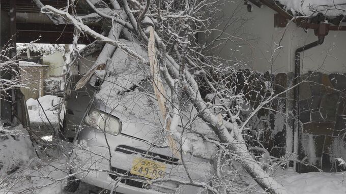 大雪で倒木「振り向いたら白煙が…」旅館の屋根と車両を損壊するもけが人なし　|　石川県のニュース｜MRO北陸放送