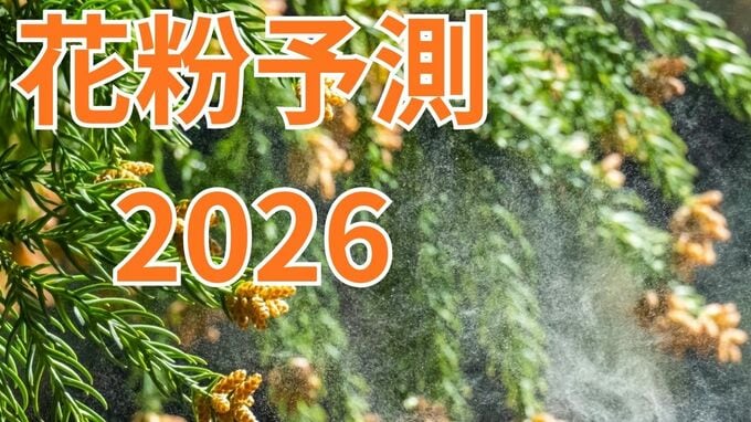 【花粉飛散予測】2026年春は？ 東日本と北日本では飛散量が「例年より多い」見込み　スギ花粉は2月上旬から【日本気象協会】|TBS NEWS DIG