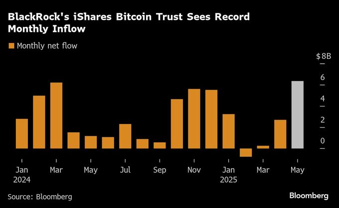ブラックロックのビットコインＥＴＦ、５月の流入額が過去最大に