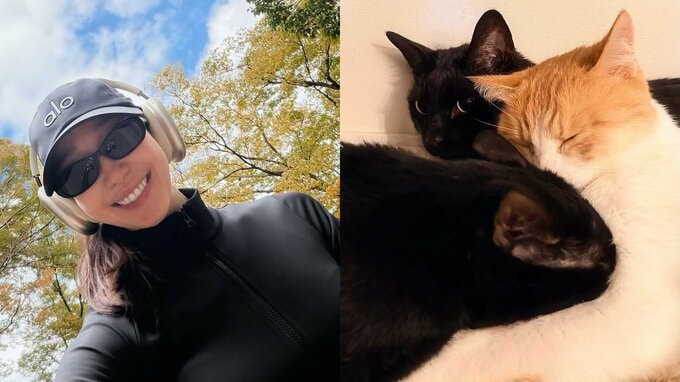 【 松島花 】　「歩くのが最高に気持ちいい季節」秋のウォーキングを満喫　愛猫3匹はホットカーペットでくっつき冬支度|TBS NEWS DIG
