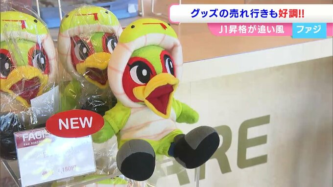 快進撃続けるサッカーJ1ファジアーノ岡山　グッズの売り上げも好調　1試合平均で約970万円【岡山】|TBS NEWS DIG