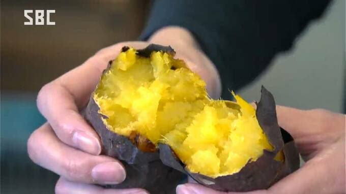 「なめらかな食感と強い甘みが特徴」ほかほか黄金色「シルクスイート」の焼き芋販売　長野・岡谷市　|　SBC NEWS | 長野のニュース | SBC信越放送