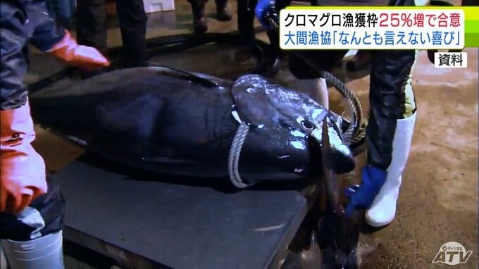 「大間マグロ」で知られる町の漁協関係者からは歓迎の声「なんとも言えないよろこび」“黒いダイヤ”クロマグロの漁獲枠が25%増で合意　今後の焦点は増えた漁獲枠をどう割り振るか　青森県内の関係者も状況注視|TBS NEWS DIG