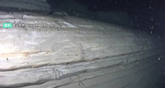 白エビ不漁や津波の全容解明に期待 富山湾の海底地すべりを富山大などの研究チームが水中撮影に成功　　|　石川県のニュース｜MRO北陸放送