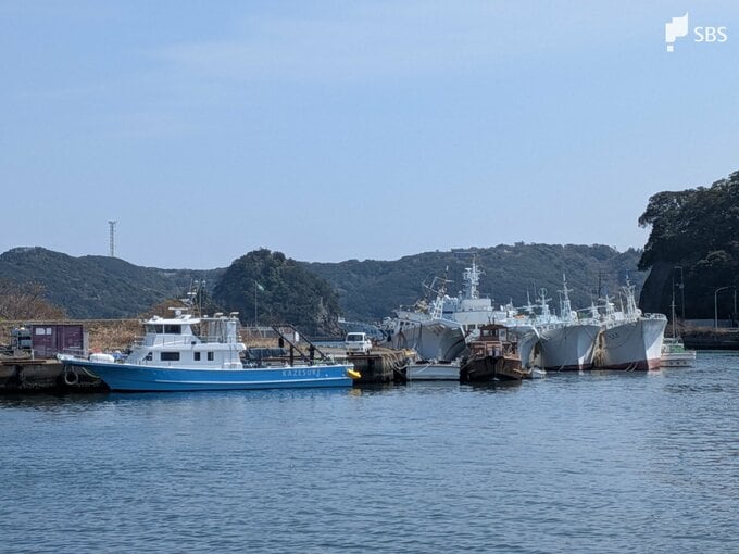 「海の方から助けてという声がする」未明の港で釣り人が転落 自力で上がれず海面で壁にへばりつくような状態に 警察と消防が救助=静岡・下田市|TBS NEWS DIG
