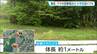 仙台・泉区で相次いでクマ目撃　小学校では児童の登校に保護者が付き添う　|　宮城のニュース│tbc NEWS│tbc東北放送