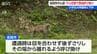 長岡市 中心市街地でサル目撃情報　小学生は保護者と下校　「遭遇したら目を合わせず静かに後ずさりして」  市と警察が警戒呼びかけ　新潟　|　新潟のニュース・天気｜BSN NEWS｜BSN新潟放送