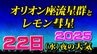 【レモン彗星】【オリオン座流星群 】今夜は見える？ 位置 方角 見方 時間帯は「彗星や流星を撮影してみよう」今夜１時間ごとの天気|TBS NEWS DIG