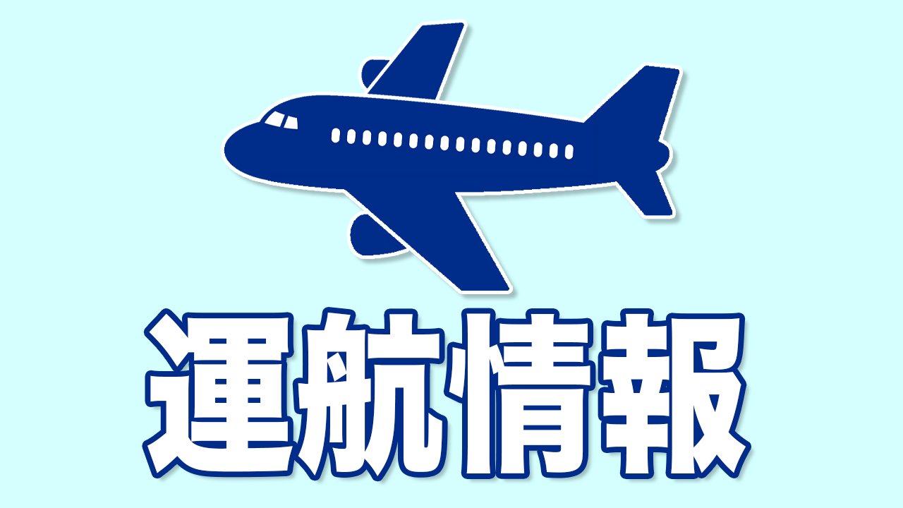 新潟 空港 欠航 情報
