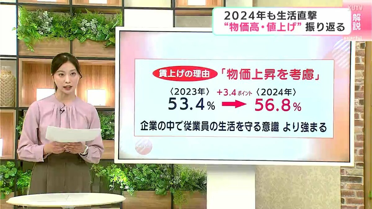 その数累計で1万2520品目！ 『生活直撃』2024年の値上げラッシュにどう