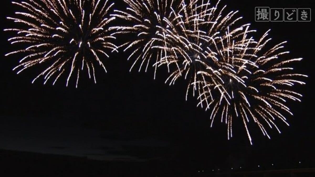 映像企画 撮りどき 夏の夜彩る 御所湖まつりの花火 岩手 盛岡市 Tbs News Dig