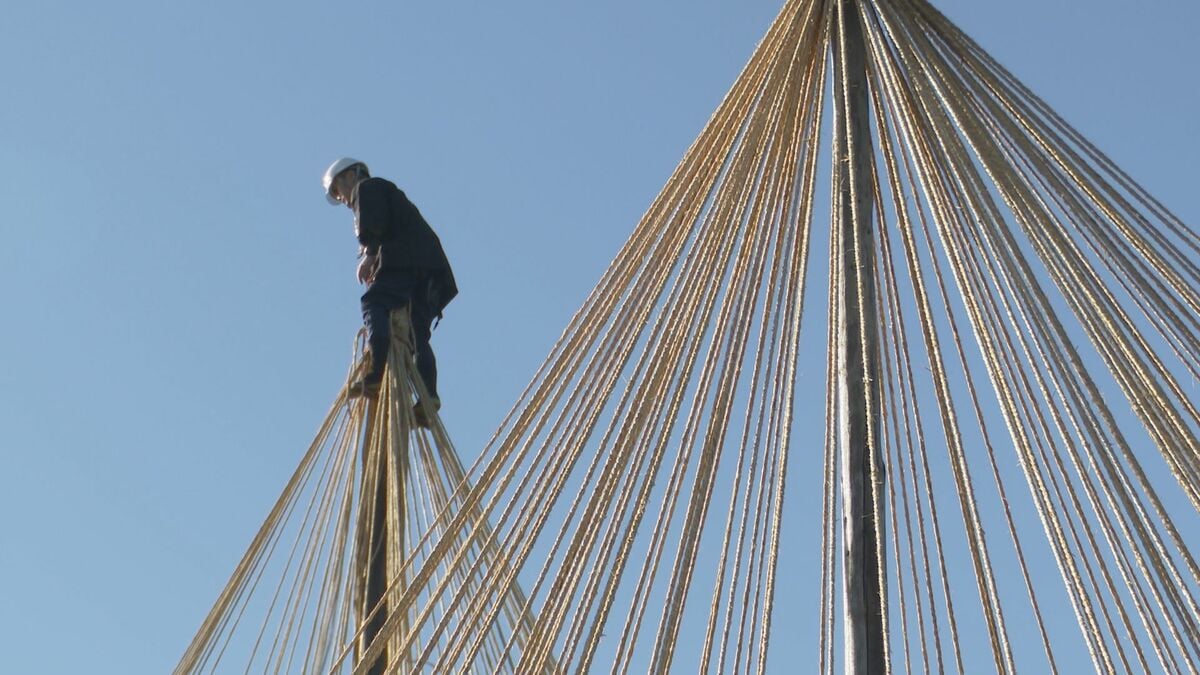 国の特別名勝・兼六園で唐崎松の雪吊り 冬の訪れを告げる 年に一度の