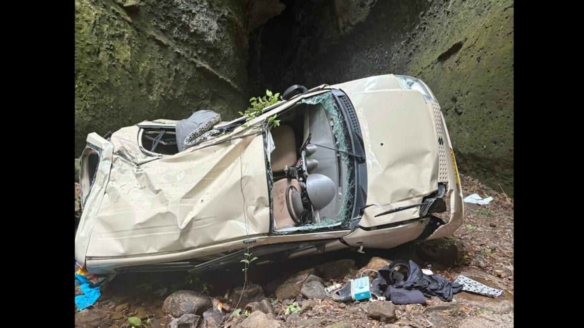 車が転落した伊尾木洞、撤去され一般開放再開　女性2人乗り約25m下へ転落、1人意識不明・1人重傷に　天然洞窟・人気観光スポット【高知・安芸市】