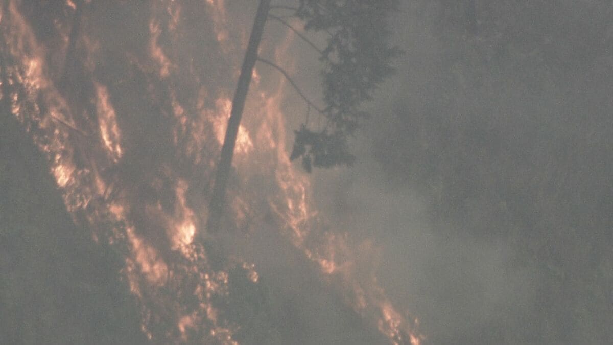 三重･津市の山火事 4日目のきょう午後5時過ぎに｢鎮火｣ 約10ヘクタール焼ける けが人なし 県職員の｢派遣基準｣見直しへ