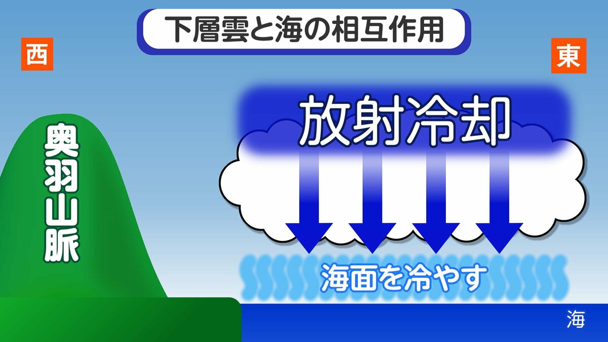 かつては冷害もたらした「やませ」が今は