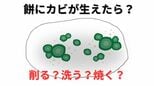 カビが生えた餅「カビを削ったら大丈夫?」削っても洗っても焼いてもカビ毒は…専門家は「菌糸は取り切れないことが多い」|TBS NEWS DIG