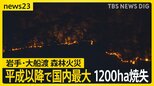 平成以降国内“最大規模” 岩手・大船渡の山林火災1200ha焼失 長引く火災で避難した人は「最悪のことは考えながら…」 相次ぐ山火事 長野でも【news23】|TBS NEWS DIG