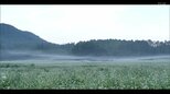 【映像】湖南町のそば街道 福島・郡山市【四季カメラ】 | 福島のニュース│TUF