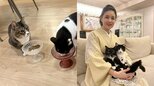 【 ねこ 】藤あや子さんの保護猫じゃこ天「ご一緒させていただきます」　先輩猫の食事に同席|TBS NEWS DIG