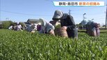 静岡・島田市で新茶の初摘み　本格的新茶シーズン前に露地栽培の「さえみどり」摘む　摘み取られたお茶は全国へ|TBS NEWS DIG