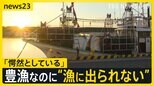 「一刻も早く沖に…」スルメイカ漁師から悲鳴　豊漁なのになぜ“休漁”？ 漁獲枠めぐり漁業関係者と水産庁が対立【news23】|TBS NEWS DIG