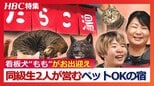 ワンコもニャンコも…どんな人にもやさしい温泉宿『たらこ湯』 聴覚障害の女性と同級生が営む全室ペットOKの宿　癒しの看板犬“もも”も…　北海道白老町|TBS NEWS DIG