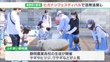 「東静岡に興味を持ってもらい、来てもらいたい」駅周辺の活用法探る「ヒガナン フェスティバル」ー静岡・駿河区|TBS NEWS DIG