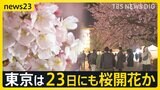 気温上昇　夜桜に「生ビール一択」 東京は4月上旬並みの暖かさ　東京は日曜にも桜開花か　気象予報士 森田さん解説【news23】|TBS NEWS DIG
