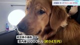 犬専用！空の便が初運行　すべてファーストクラス　犬用シャンパンや“ドッグファースト”の機内食　米国内線片道約94万円|TBS NEWS DIG
