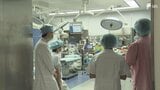 「人のことを考えて自分たちで行動するところがすごい」医療の現場で働く親の姿は? 静岡の病院で「こども参観会」=静岡市|TBS NEWS DIG