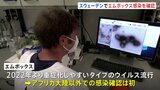スウェーデンで新たにエムポックスの感染確認　重症化しやすいタイプの感染はアフリカ大陸以外で初|TBS NEWS DIG