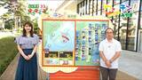 「西部の山沿いで昼頃から雨雲・雷雲が発達 山のレジャーでは天気の急変に注意 全体的には晴れや曇りで厳しい残暑に」tbc気象台 9日|TBS NEWS DIG