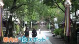 “猛暑知らず”8月平均気温27℃の避暑地・北茨城市&都心からアクセス良好の深大寺が人気!涼しさの理由とは?|TBS NEWS DIG