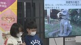 小学生の歴史研究発表会 舞鶴城の歴史や甲州弁独特の発音など学習成果を発表|TBS NEWS DIG