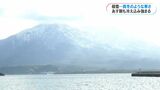 もうすぐ3月なのに…桜島が冠雪、住宅地は雪景色 吉野公園は紅梅が今週末見ごろに 鹿児島市 | 鹿児島のニュース|MBC NEWS|南日本放送