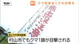 雨が降るきょうもクマはすぐそこに… 民家近くの目撃も相次ぐ 県や警察が警戒を呼びかけ(山形) | 山形のニュース│TUYテレビユー山形